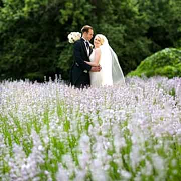 Notley Abbey Wedding Photography